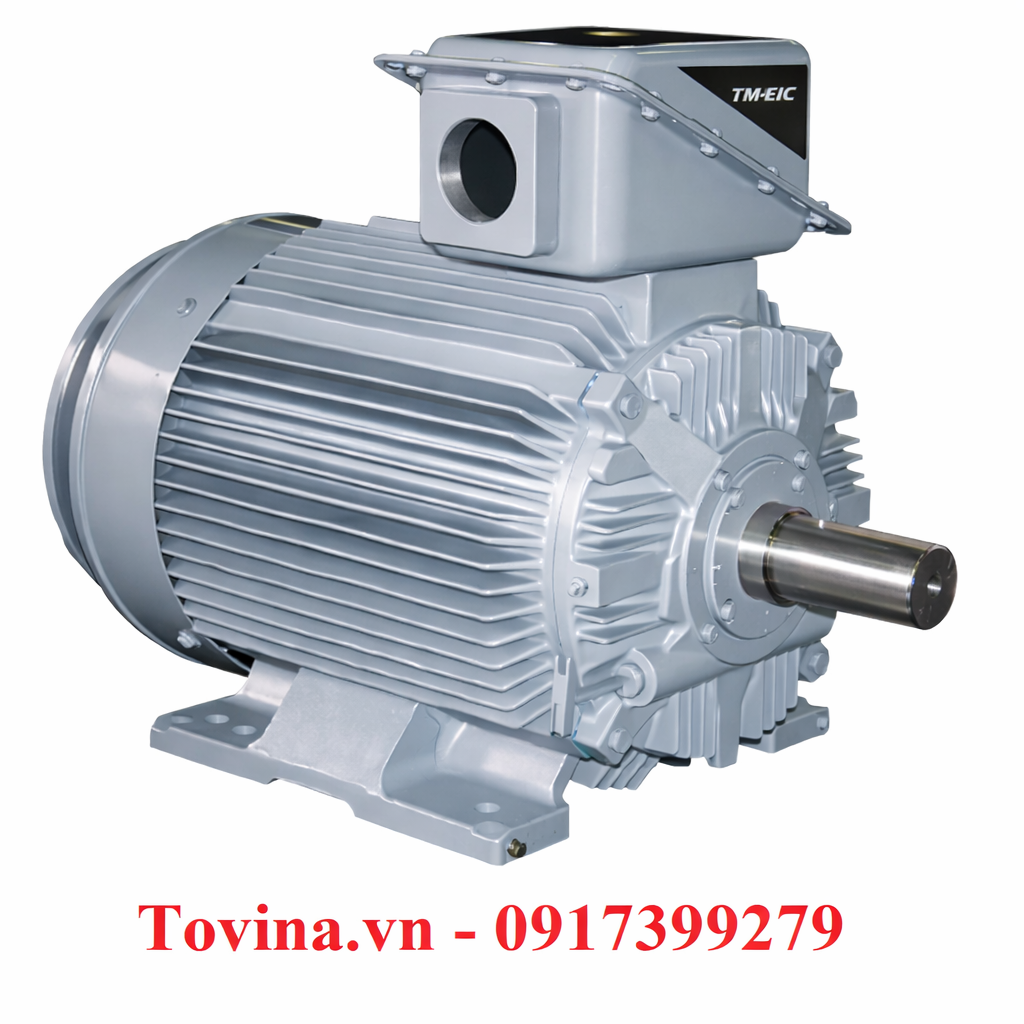 21-FII Series Motors