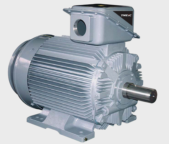 21-FII Series Motors