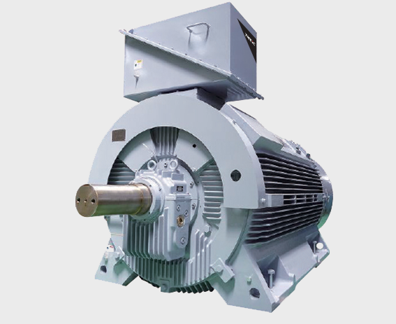 Custom-Designed Induction Motors