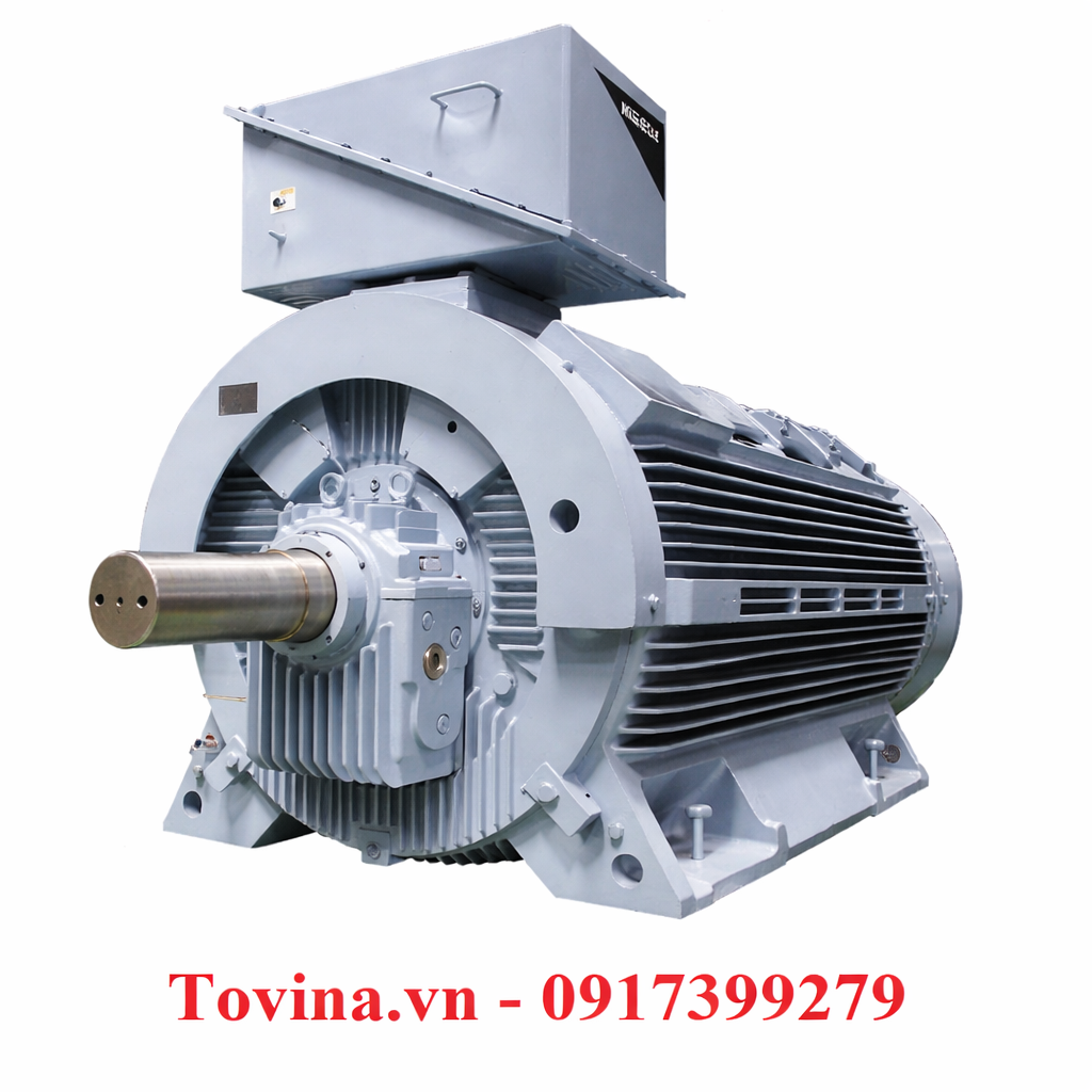 Custom-Designed Induction Motors